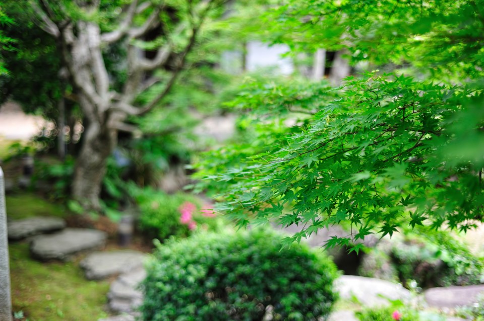 AdobeStock_230347855-960x648