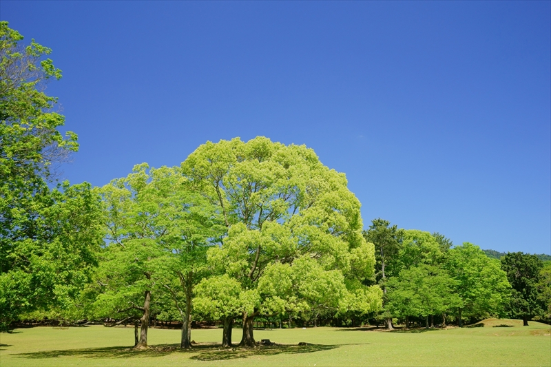 代表ご挨拶