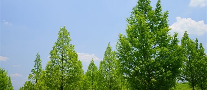 代表ご挨拶